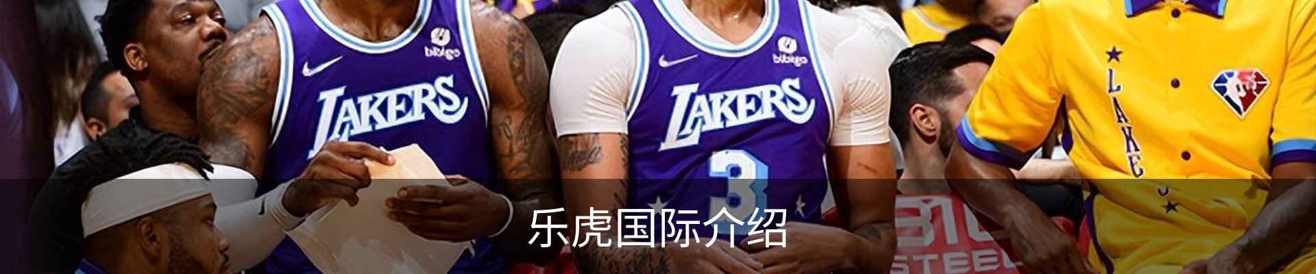 乐虎国际介绍