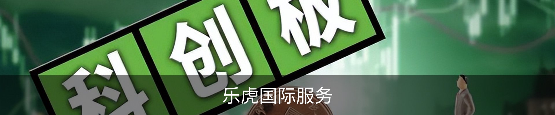 乐虎国际服务