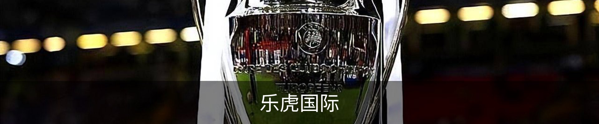乐虎国际