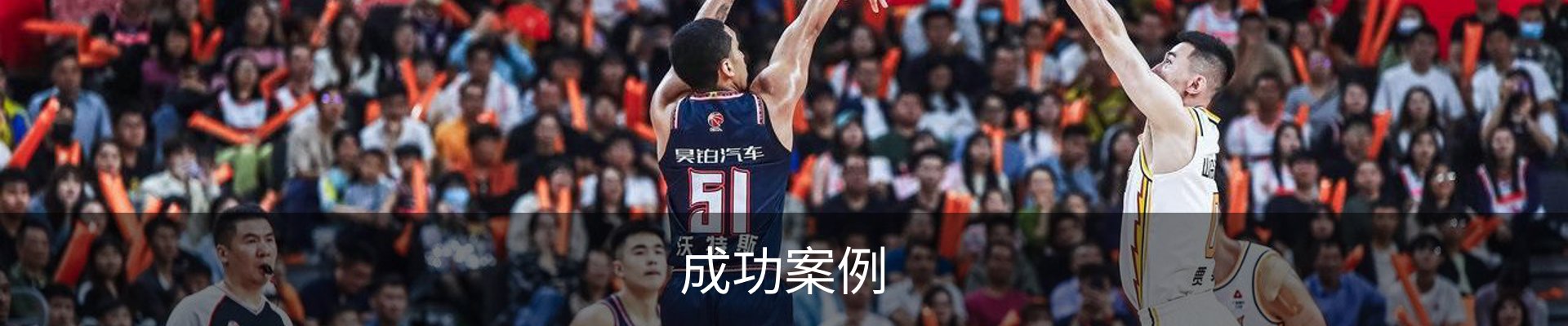 成功案例